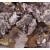 Arsenopyrite and Chalcopyrite Panasqueira M04550